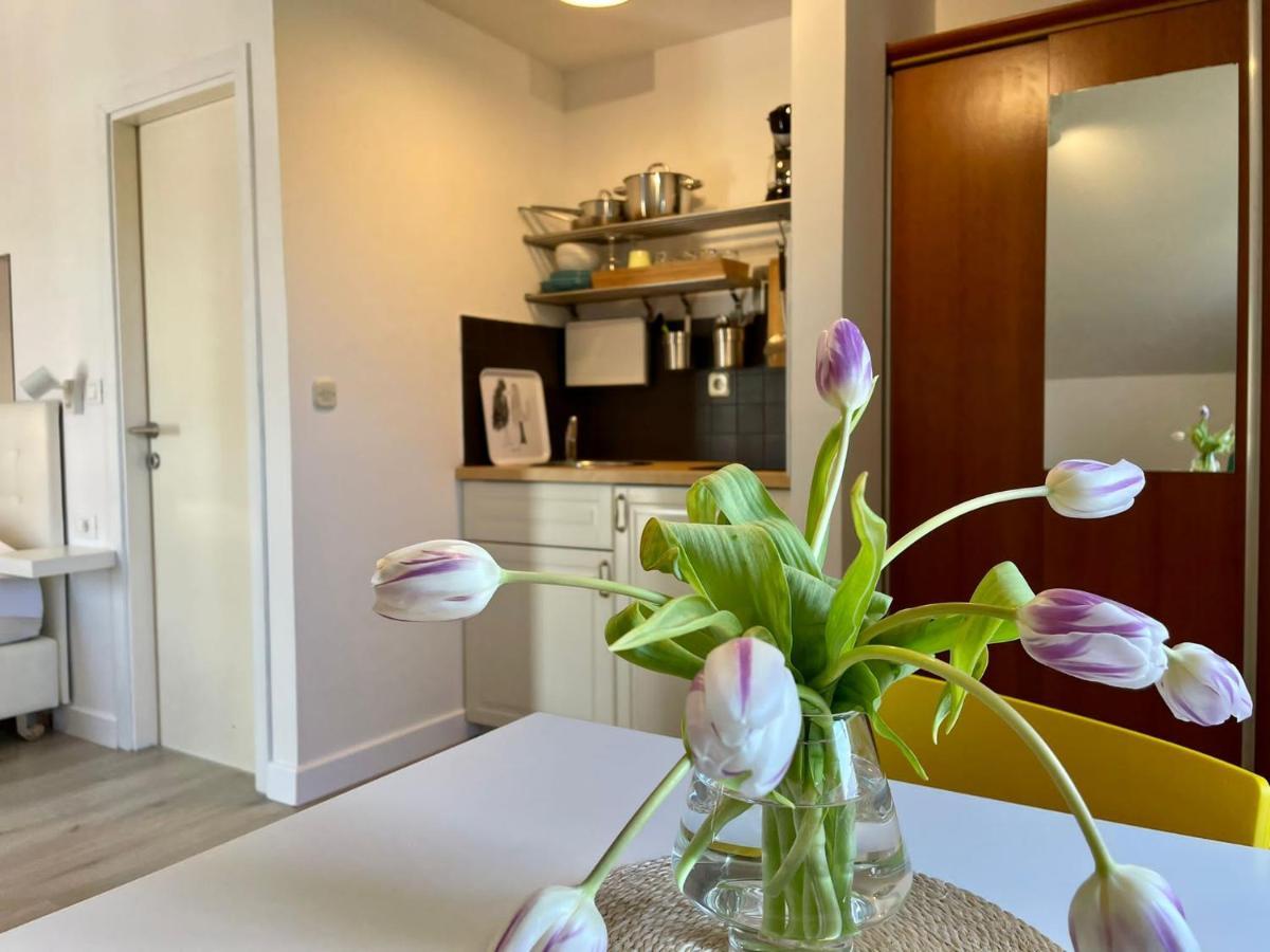 Apartments Carol Cavtat Ngoại thất bức ảnh